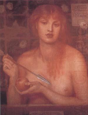 Dante Gabriel Rossetti Study for Venus Verticordia (mk28) china oil painting image